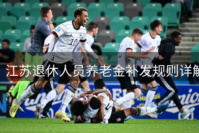 江苏退休人员养老金补发规则详解